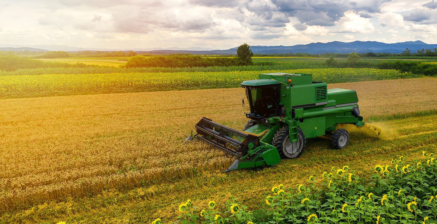 Trasmissioni e assali