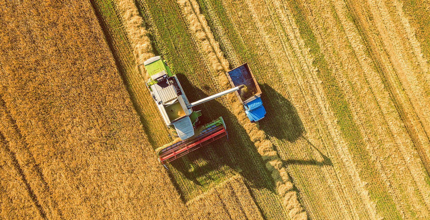 Sviluppo gamma di prodotto