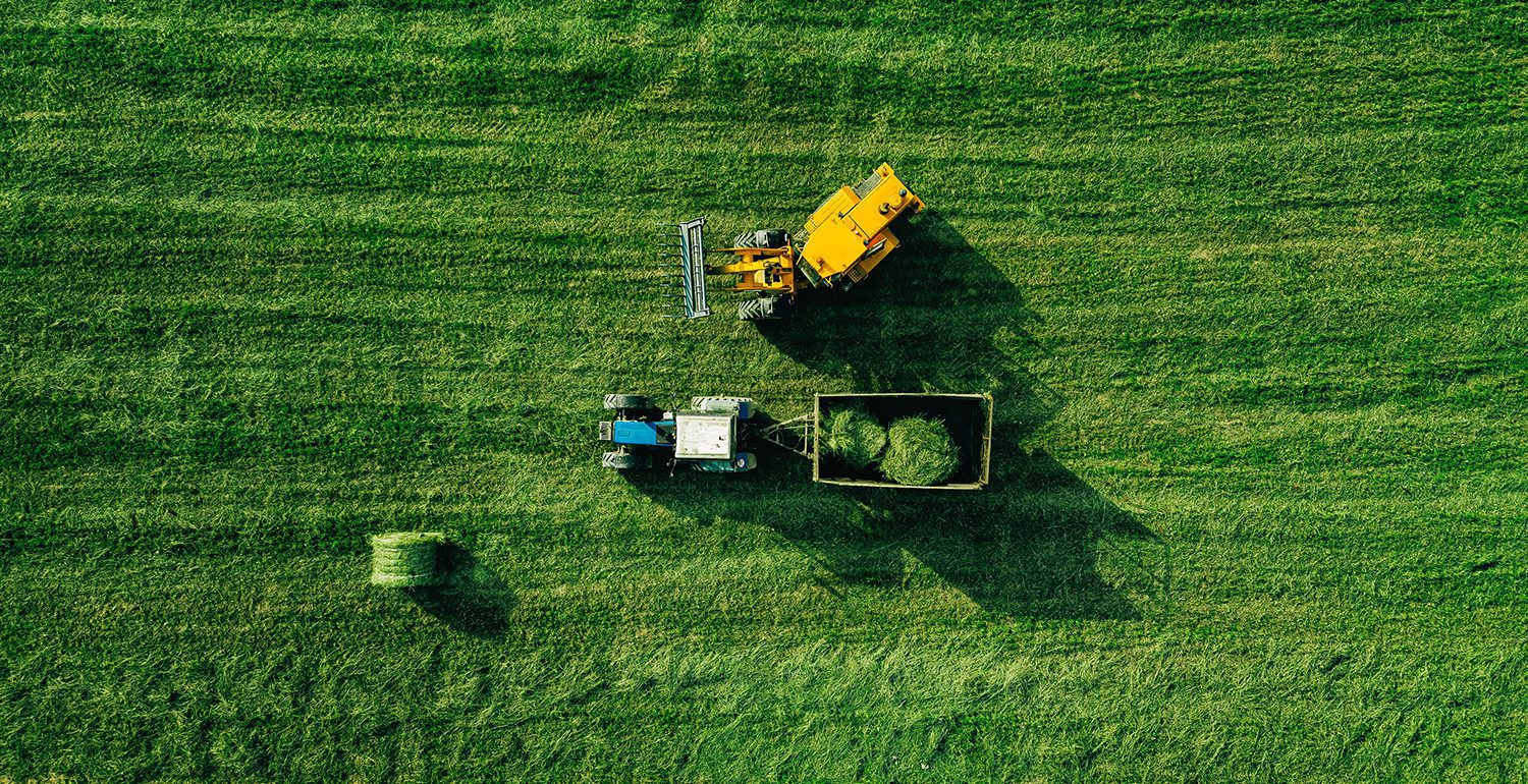 Sviluppo gamma di prodotto